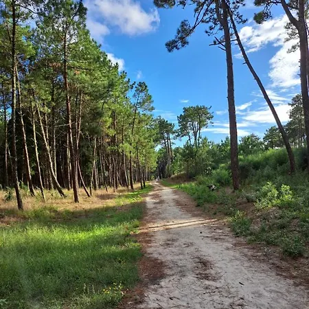 Casa de Férias Casa Santana *