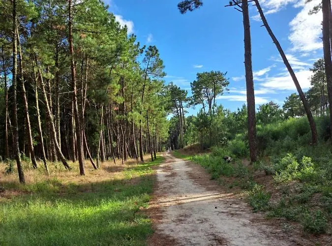 Vakantiehuis Casa Santana *